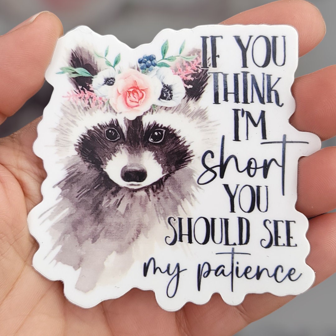 Sarcastic Raccoon Sticker
